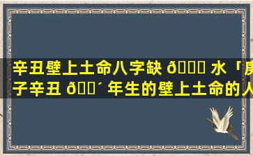 辛丑壁上土命八字缺 💐 水「庚子辛丑 🐴 年生的壁上土命的人」